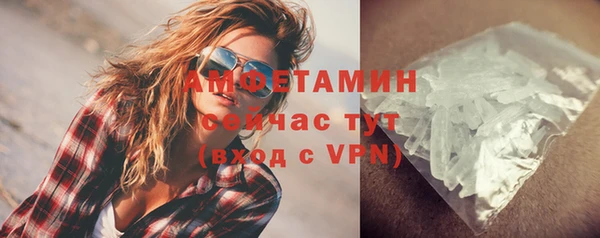 ГАЛЛЮЦИНОГЕННЫЕ ГРИБЫ Горняк