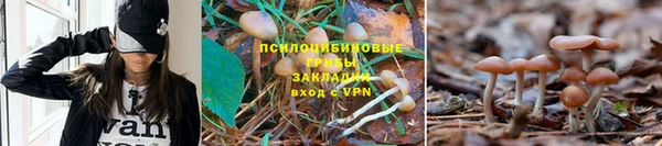 ешки Вязники