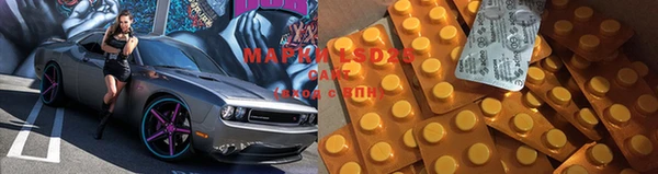 ГАЛЛЮЦИНОГЕННЫЕ ГРИБЫ Горняк