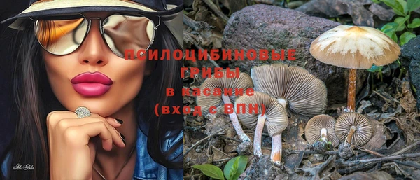 ГАЛЛЮЦИНОГЕННЫЕ ГРИБЫ Горняк