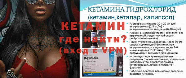 стафф Вязьма