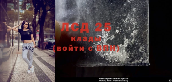 ГАЛЛЮЦИНОГЕННЫЕ ГРИБЫ Горняк