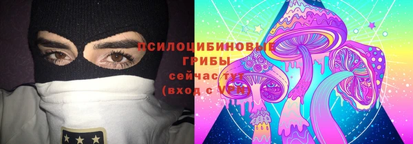 стафф Вязьма