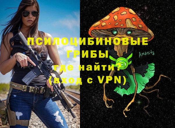 COCAINE Горно-Алтайск